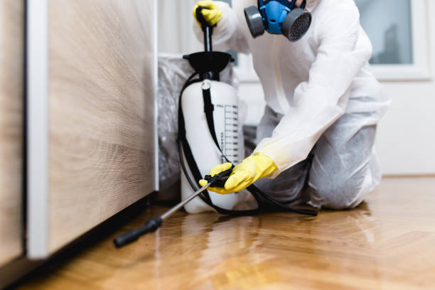 Pest Control for Restaurants in Seagoville, TX