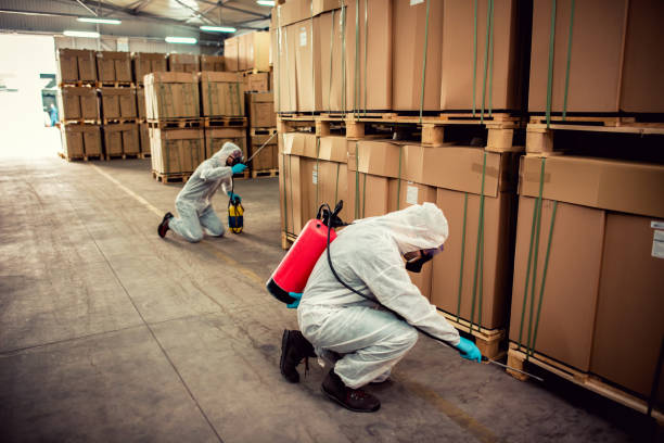 Best Wasp Removal Services  in Seagoville, TX