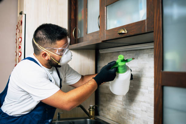 Best Ant Control Services  in Seagoville, TX