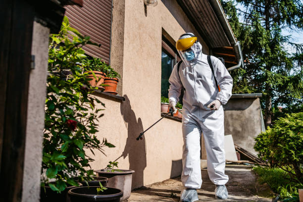 Best Pest Control Treatment  in Seagoville, TX