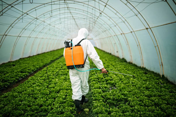 Best Commercial Pest Control Services  in Seagoville, TX