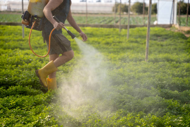 Trusted Seagoville, TX Pest Control Experts