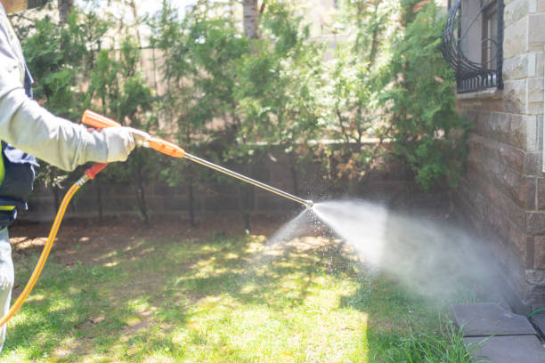 Best Residential Pest Control  in Seagoville, TX