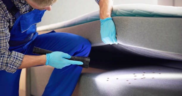 Best Residential Pest Control  in Seagoville, TX