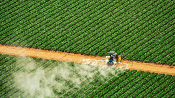 Best Best Pest Control Companies  in Seagoville, TX