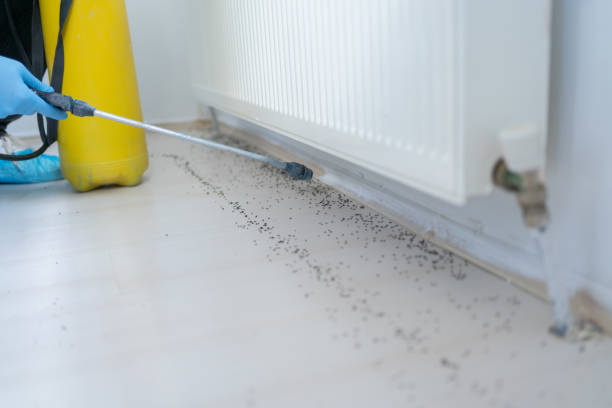 Best Pest Control Near Me  in Seagoville, TX
